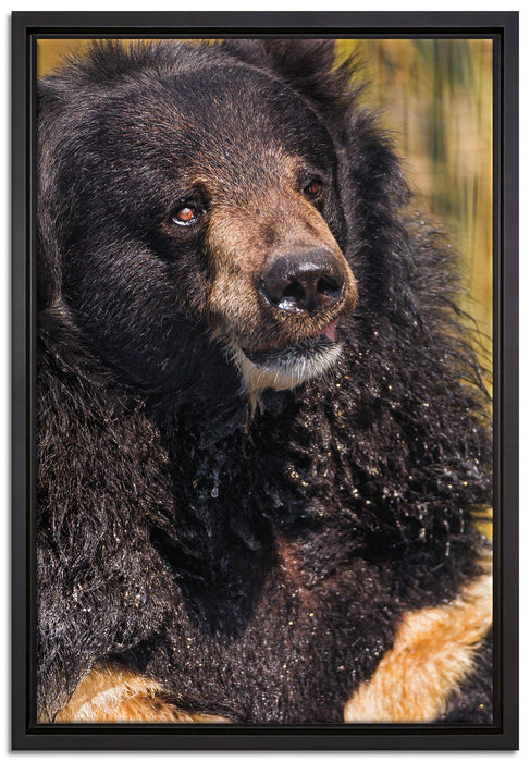 nasser Malaien Bar auf Leinwandbild gerahmt Größe 60x40