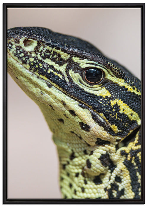 wachsamer Leguan auf Leinwandbild gerahmt Größe 100x70