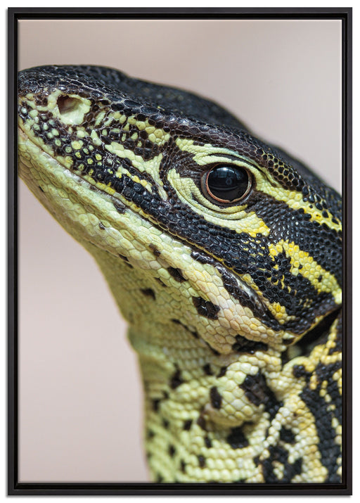 wachsamer Leguan auf Leinwandbild gerahmt Größe 100x70