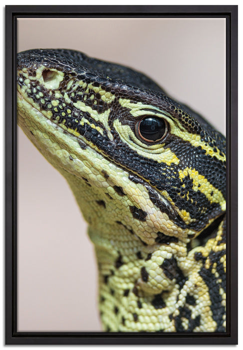 wachsamer Leguan auf Leinwandbild gerahmt Größe 60x40