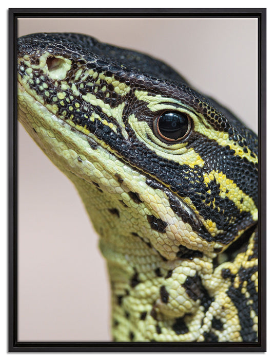 wachsamer Leguan auf Leinwandbild gerahmt Größe 80x60