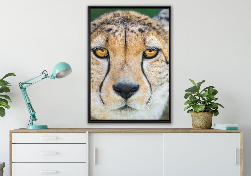 ruhender Gepard auf Leinwandbild gerahmt verschiedene Größen im Wohnzimmer