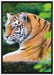 anmutiger Tiger auf Baumstamm auf Leinwandbild gerahmt Größe 100x70