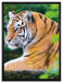 anmutiger Tiger auf Baumstamm auf Leinwandbild gerahmt Größe 80x60