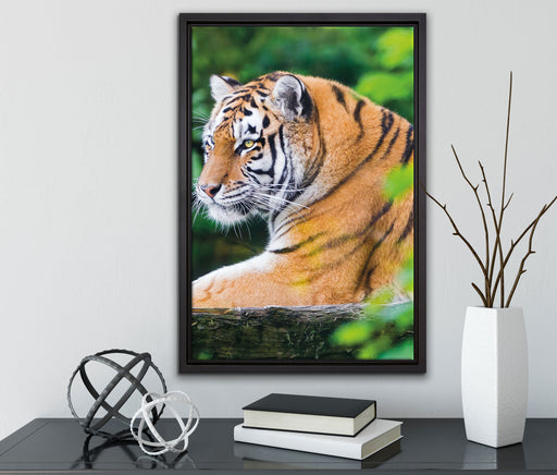 anmutiger Tiger auf Baumstamm auf Leinwandbild gerahmt mit Kirschblüten