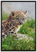 junger Leopard im Gras auf Leinwandbild gerahmt Größe 100x70