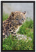 junger Leopard im Gras auf Leinwandbild gerahmt Größe 60x40