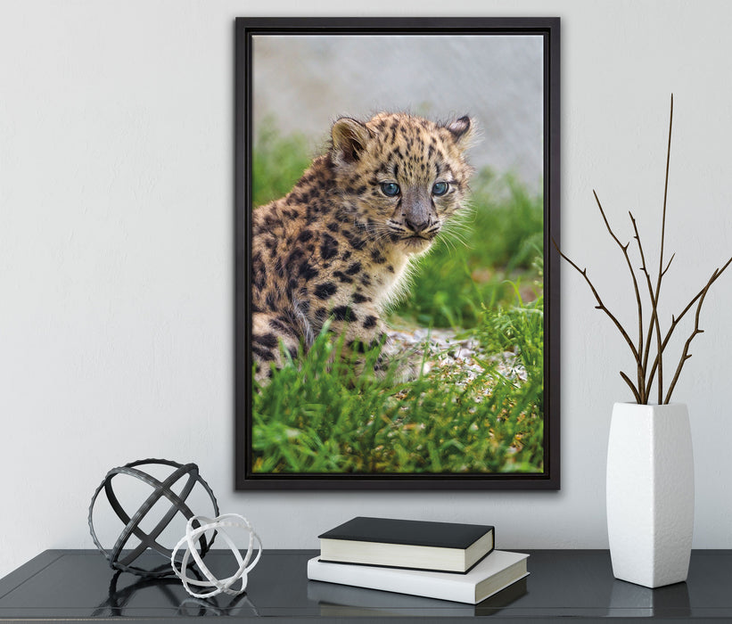 junger Leopard im Gras auf Leinwandbild gerahmt mit Kirschblüten