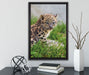 junger Leopard im Gras auf Leinwandbild gerahmt mit Kirschblüten