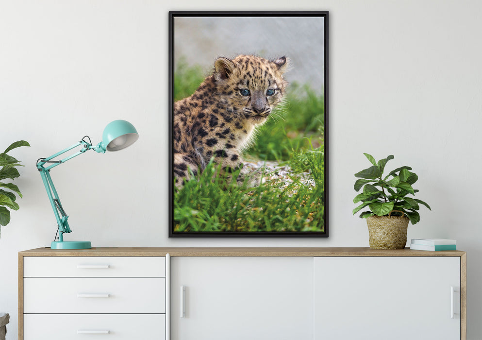junger Leopard im Gras auf Leinwandbild gerahmt verschiedene Größen im Wohnzimmer
