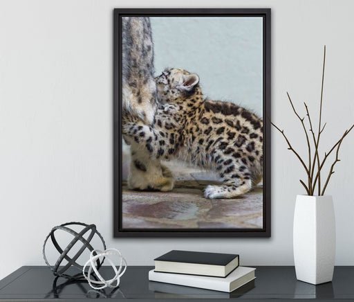 kleiner Leopard beim Spielen auf Leinwandbild gerahmt mit Kirschblüten