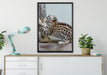 kleiner Leopard beim Spielen auf Leinwandbild gerahmt verschiedene Größen im Wohnzimmer