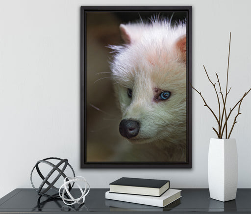 Polarfuchs in Höhle auf Leinwandbild gerahmt mit Kirschblüten