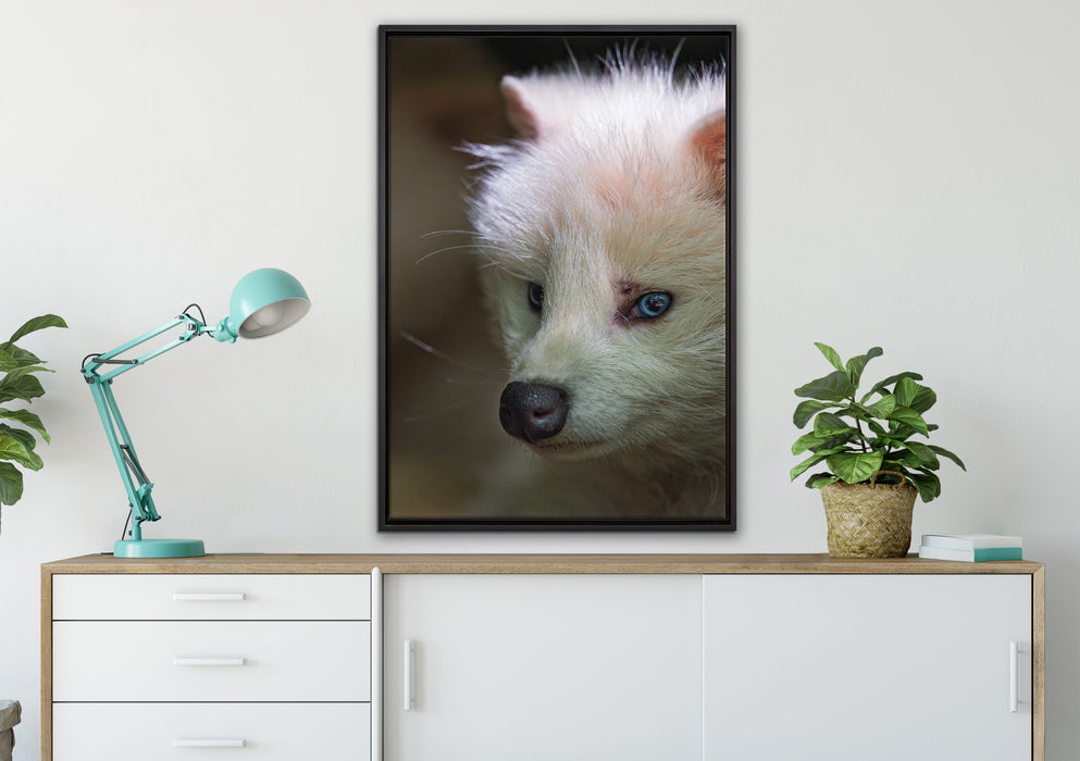 Polarfuchs in Höhle auf Leinwandbild gerahmt verschiedene Größen im Wohnzimmer