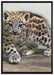 stolzierendes Leopardenjunges auf Leinwandbild gerahmt Größe 100x70