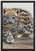 stolzierendes Leopardenjunges auf Leinwandbild gerahmt Größe 60x40