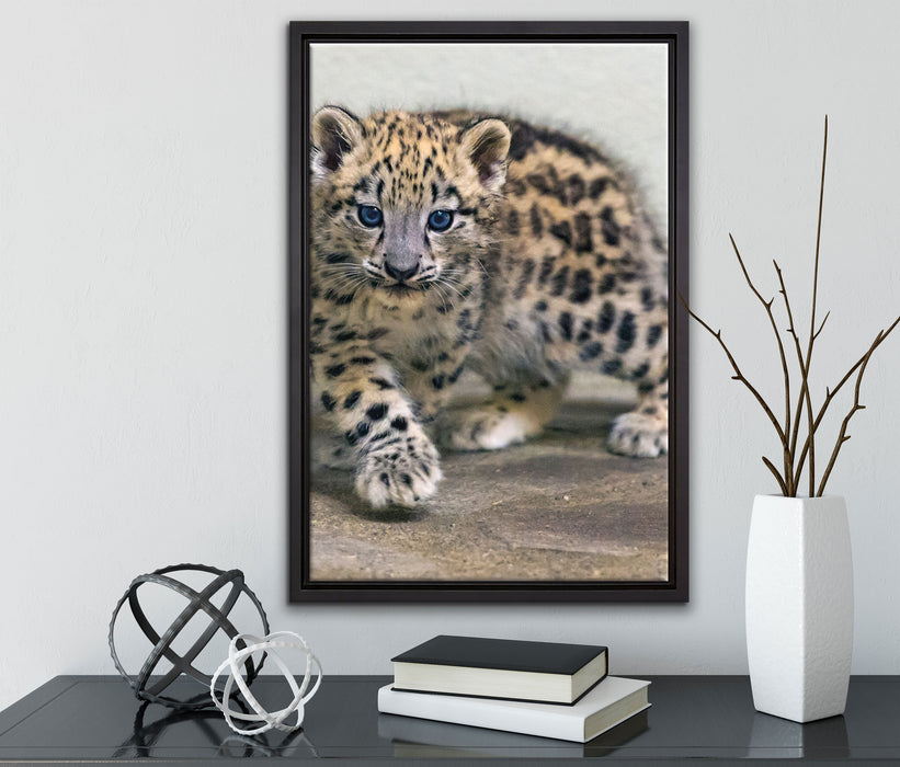 stolzierendes Leopardenjunges auf Leinwandbild gerahmt mit Kirschblüten