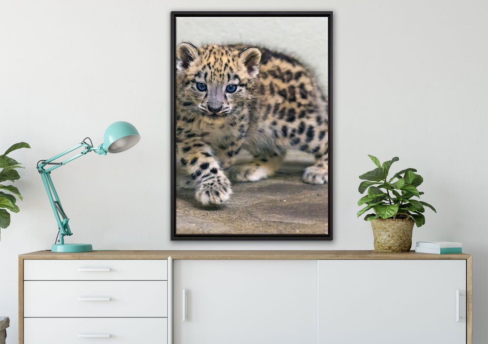 stolzierendes Leopardenjunges auf Leinwandbild gerahmt verschiedene Größen im Wohnzimmer