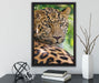 aufmerksamer Leopard im Schatten auf Leinwandbild gerahmt mit Kirschblüten