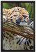 verspielter Leopard auf Leinwandbild gerahmt Größe 60x40