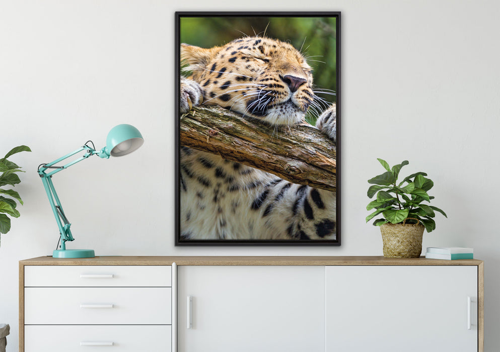 verspielter Leopard auf Leinwandbild gerahmt verschiedene Größen im Wohnzimmer