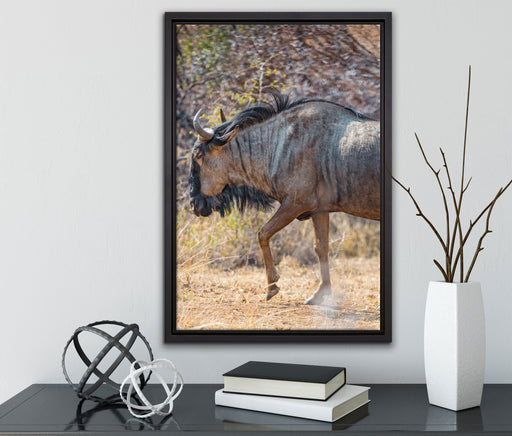 Kaffernbüffel in der Savanne auf Leinwandbild gerahmt mit Kirschblüten