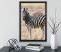 Zebra im Wildgras auf Leinwandbild gerahmt mit Kirschblüten