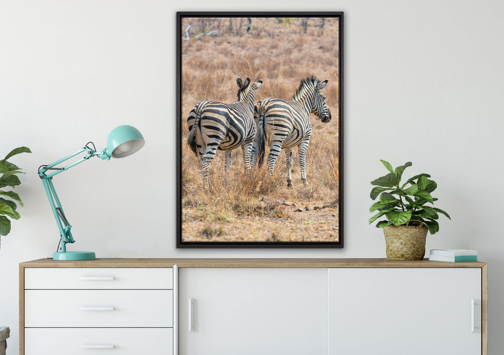 Zebraherde in Savanne auf Leinwandbild gerahmt verschiedene Größen im Wohnzimmer
