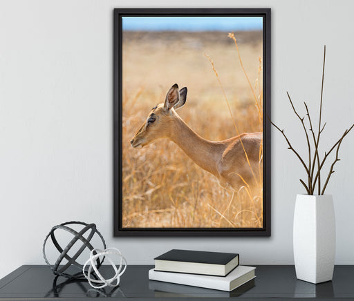 Gazelle im hohen Gras auf Leinwandbild gerahmt mit Kirschblüten