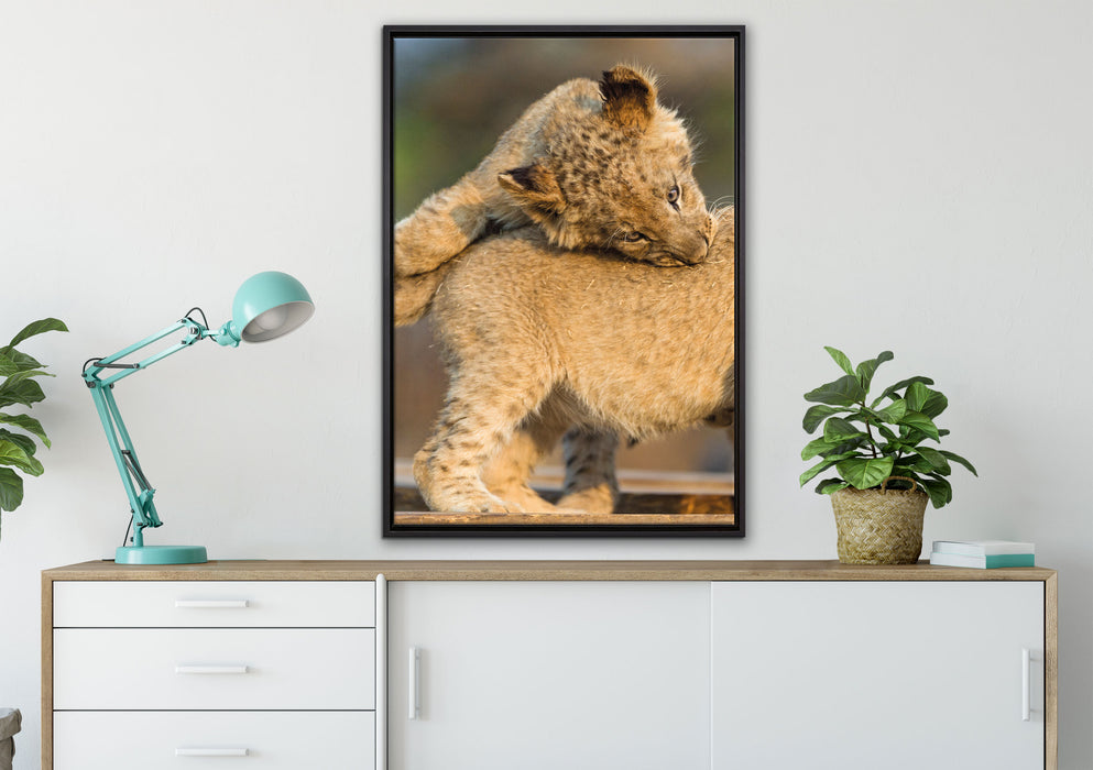 Löwenjunge beim Spielen auf Leinwandbild gerahmt verschiedene Größen im Wohnzimmer