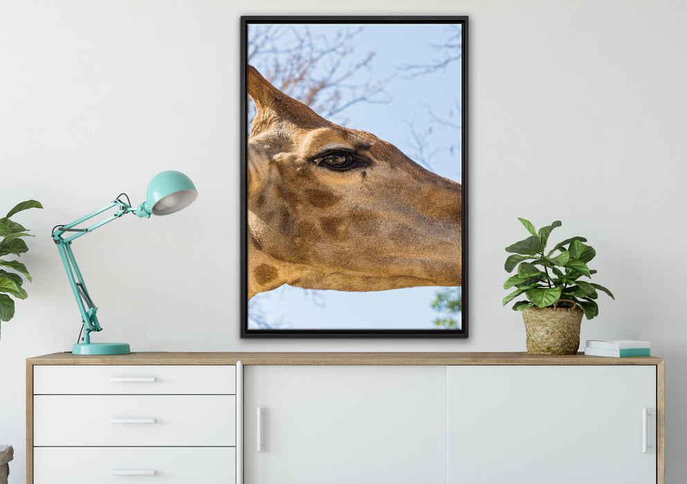 anmutige Giraffe isst auf Leinwandbild gerahmt verschiedene Größen im Wohnzimmer