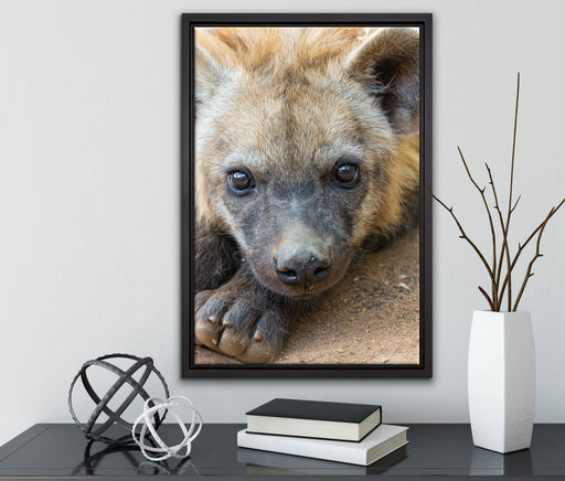 niedliche Hyäne auf Leinwandbild gerahmt mit Kirschblüten