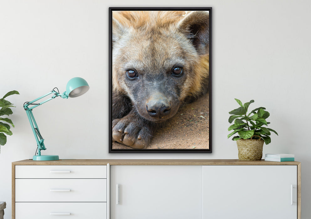 niedliche Hyäne auf Leinwandbild gerahmt verschiedene Größen im Wohnzimmer