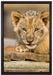 Löwenjunges auf Holzbrettern auf Leinwandbild gerahmt Größe 60x40