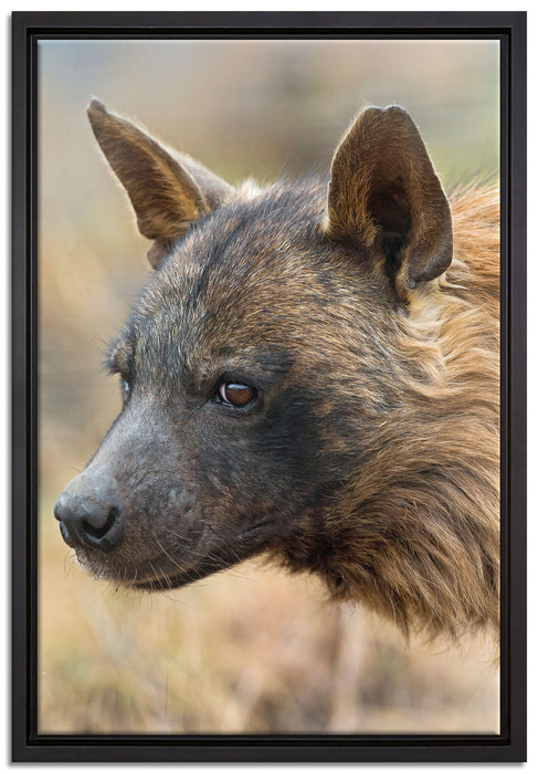 anmutige Hyäne im Wildgras auf Leinwandbild gerahmt Größe 60x40