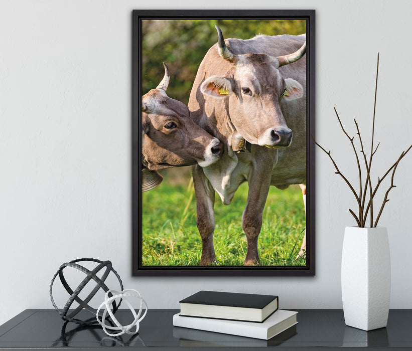 Kühe auf der Weide auf Leinwandbild gerahmt mit Kirschblüten