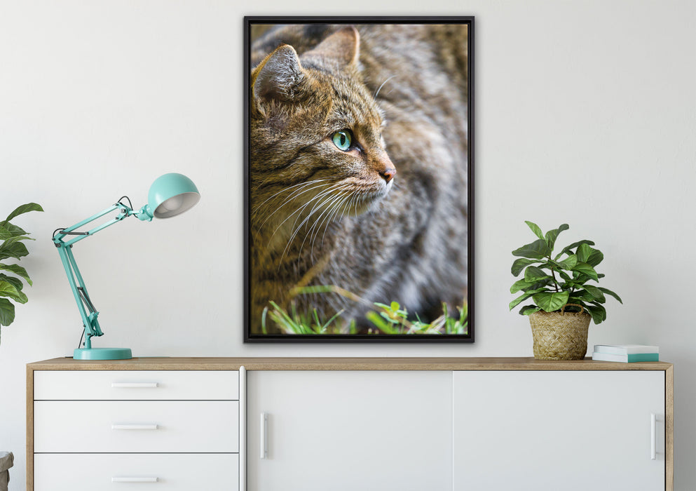 kleine Manul im Gras auf Leinwandbild gerahmt verschiedene Größen im Wohnzimmer