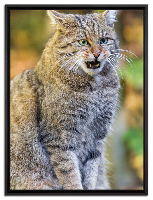 Manul auf Baumstamm auf Leinwandbild gerahmt Größe 80x60