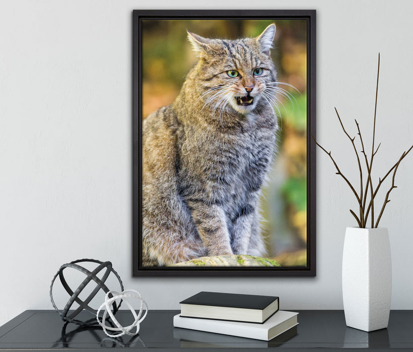 Manul auf Baumstamm auf Leinwandbild gerahmt mit Kirschblüten