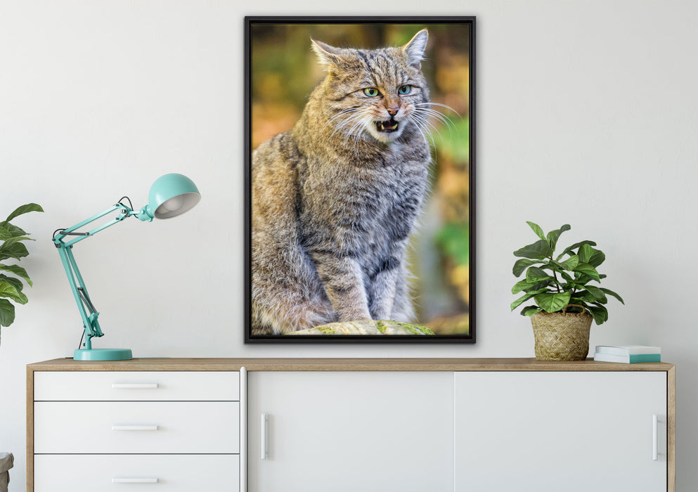 Manul auf Baumstamm auf Leinwandbild gerahmt verschiedene Größen im Wohnzimmer