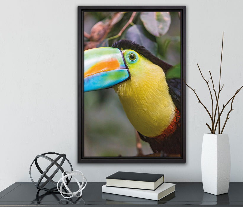 farbenfroher Fischertukan auf Leinwandbild gerahmt mit Kirschblüten