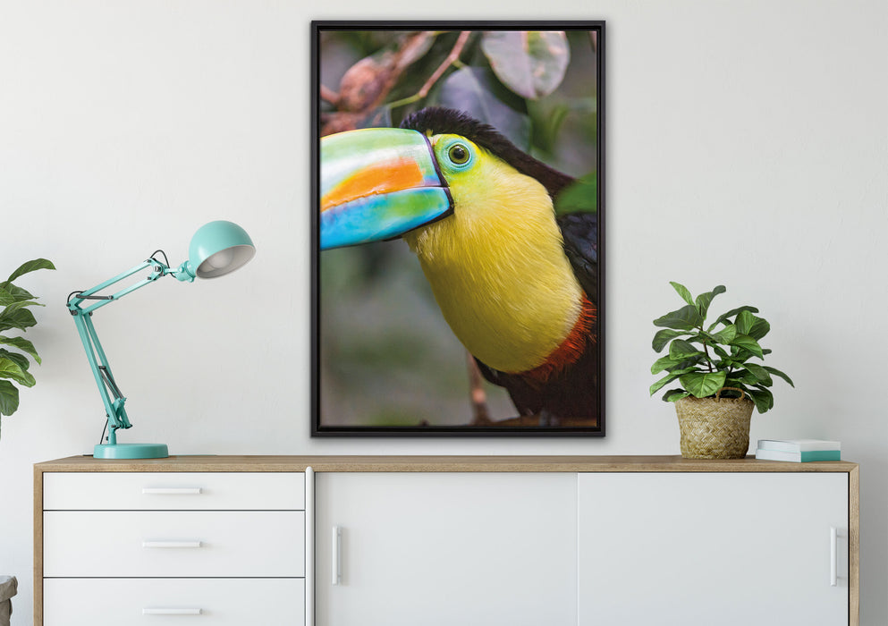 farbenfroher Fischertukan auf Leinwandbild gerahmt verschiedene Größen im Wohnzimmer