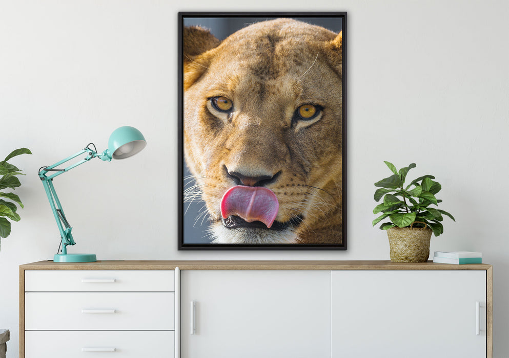 anmutige Löwin auf Leinwandbild gerahmt verschiedene Größen im Wohnzimmer