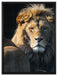 schönes Löwenpaar auf Leinwandbild gerahmt Größe 80x60