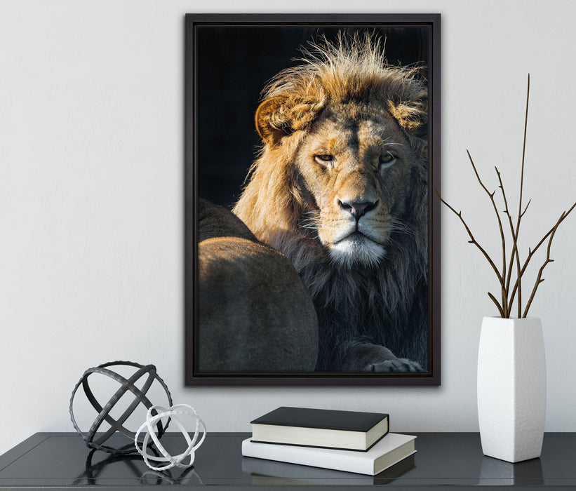 schönes Löwenpaar auf Leinwandbild gerahmt mit Kirschblüten