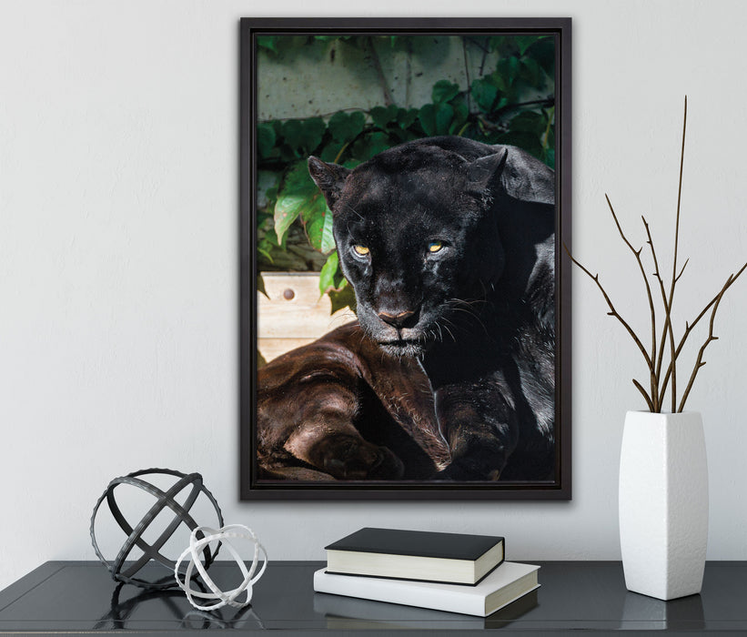 schwarzer Panther auf Leinwandbild gerahmt mit Kirschblüten