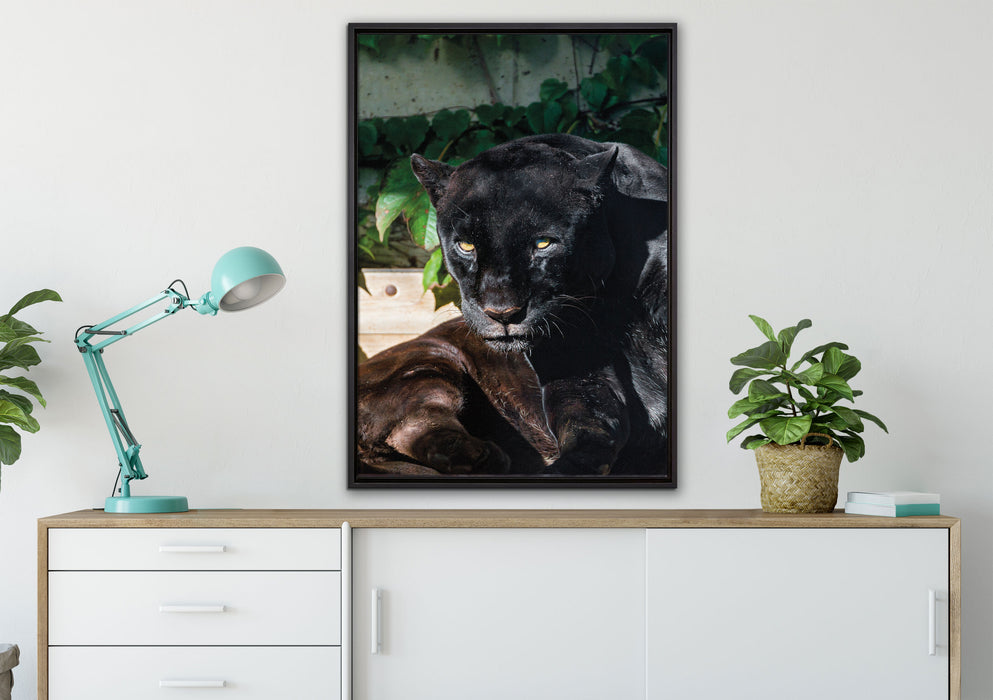 schwarzer Panther auf Leinwandbild gerahmt verschiedene Größen im Wohnzimmer