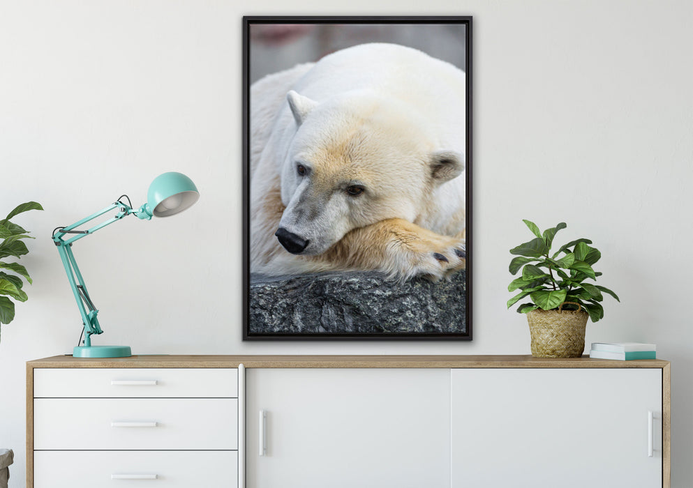 schlafender Eisbär auf Leinwandbild gerahmt verschiedene Größen im Wohnzimmer