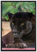 schöner schwarzer Panther auf Leinwandbild gerahmt Größe 100x70