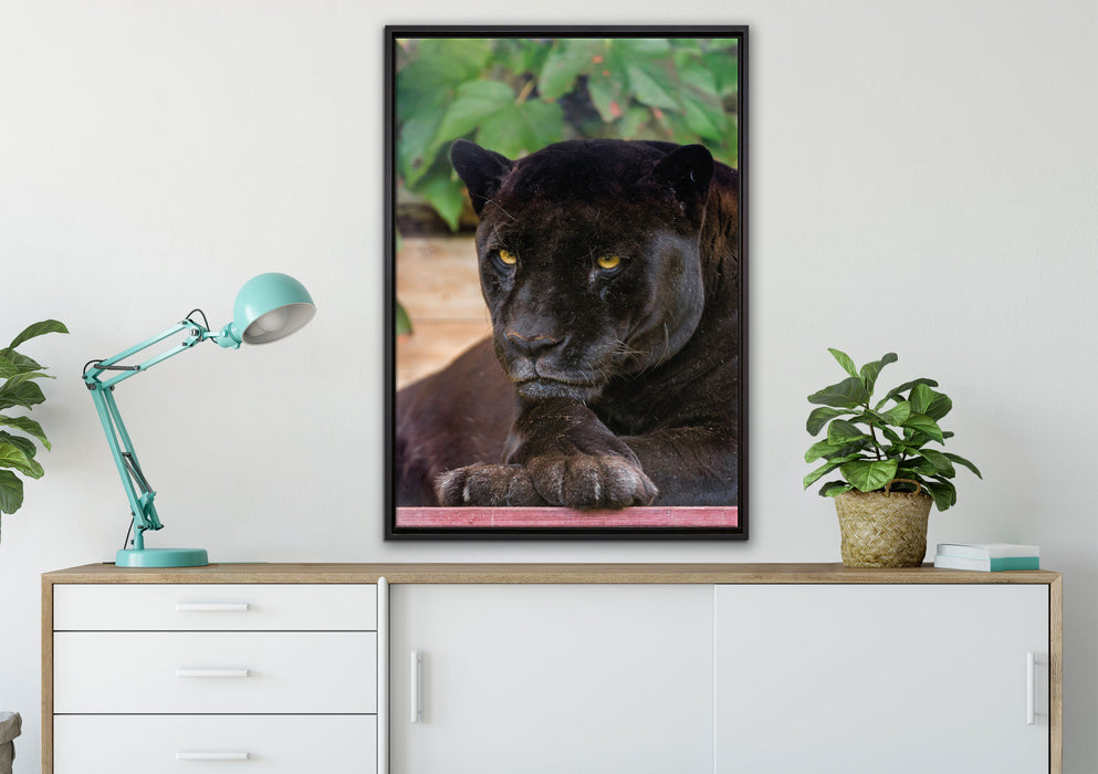 schöner schwarzer Panther auf Leinwandbild gerahmt verschiedene Größen im Wohnzimmer